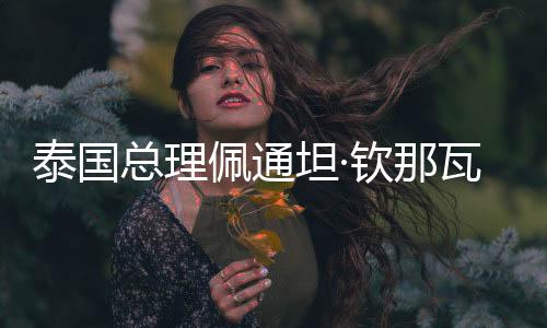 泰国总理佩通坦·钦那瓦一行参访华彬集团