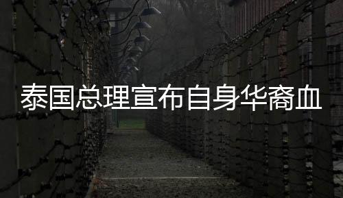 泰国总理宣布自身华裔血统，多元文化的融合引领新篇章