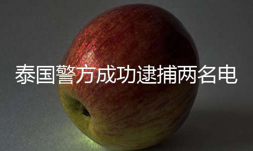 泰国警方成功逮捕两名电诈嫌疑人头目，严厉打击电信诈骗网络