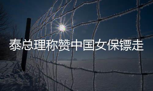 泰总理称赞中国女保镖走红泰国，东西方安保文化的交流与融合