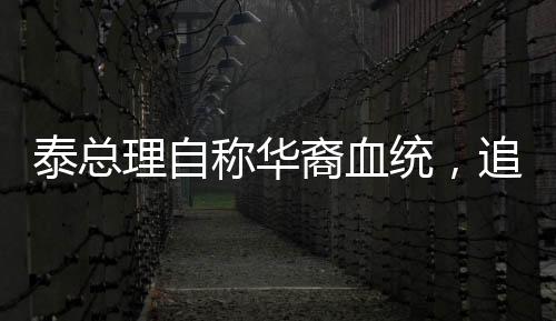 泰总理自称华裔血统，追溯历史与传承的身份认同