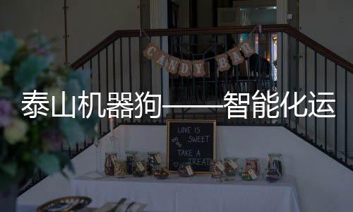 泰山机器狗——智能化运载的未来之星
