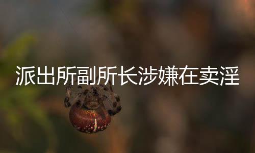 派出所副所长涉嫌在卖淫案中徇私舞弊，引发社会关注