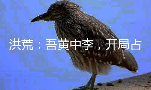 洪荒：吾黄中李，开局占据蓬莱岛