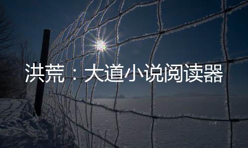 洪荒：大道小说阅读器