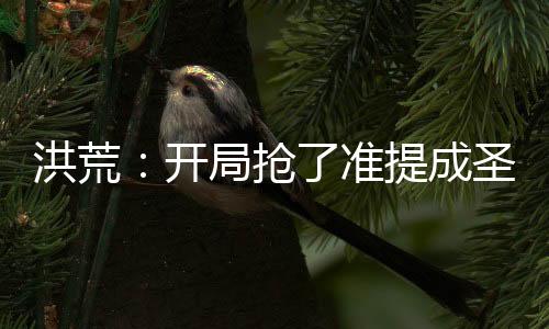 洪荒：开局抢了准提成圣蒲团！