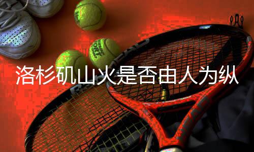 洛杉矶山火是否由人为纵火引发？待揭秘的事故真相