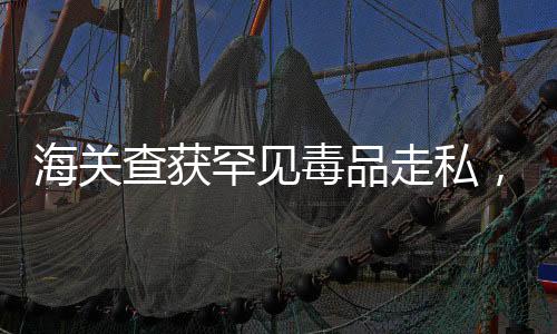 海关查获罕见毒品走私，秘密运送之疑案揭秘
