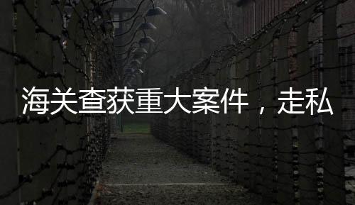 海关查获重大案件，走私藏匿的珍稀生腌响尾蛇曝光揭秘一桩跨国走私大案，海关部门成功查获一批珍贵野生动物制品——生腌响尾蛇，共计达惊人重量的 1.2 公斤。据初步调查，这批被查获的生腌响尾蛇可能是非法走私入境的珍稀野生动物制品，涉及跨国犯罪集团和非法贸易链。此次事件再次凸显了海关部门在打击走私犯罪和保护生态环境方面的决心和力度。接下来，我们将从十个方面对此事件进行深入报道。