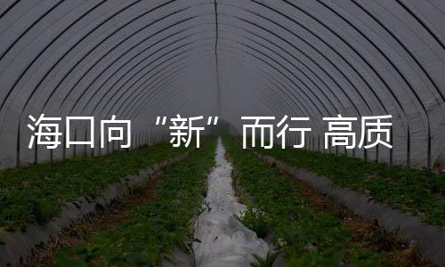 海口向“新”而行 高质量发展积厚成势
