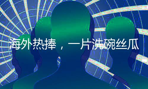 海外热捧，一片洗碗丝瓜络的异域商业价值揭秘