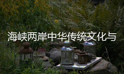 海峡两岸中华传统文化与现代文化融合交流活动在湖南启幕