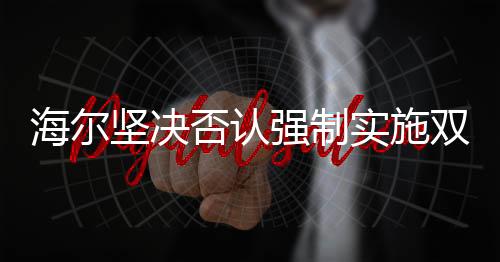 海尔坚决否认强制实施双休制度