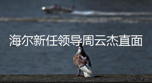 海尔新任领导周云杰直面质疑，冷若冰箱的老总形象与海尔的未来展望