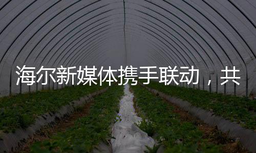海尔新媒体携手联动，共同守护老总安全上线——企业内部信息化力量协同合作打造网络守护线