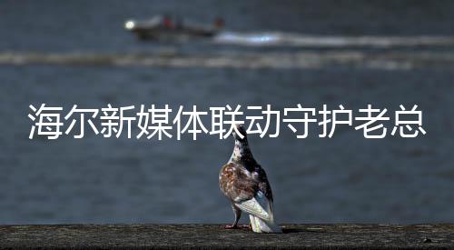 海尔新媒体联动守护老总，塑造品牌形象与企业文化的新篇章
