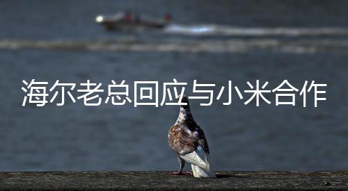 海尔老总回应与小米合作的传闻，开放合作，共创智能生态新篇章