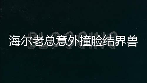 海尔老总意外撞脸结界兽，热议背后的故事