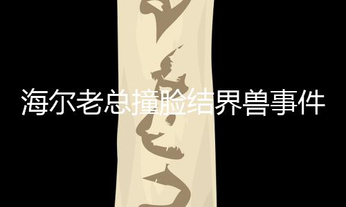 海尔老总撞脸结界兽事件，揭开背后的神秘面纱
