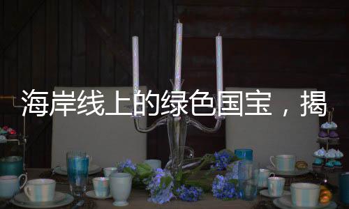 海岸线上的绿色国宝，揭示自然与文化的双重宝藏