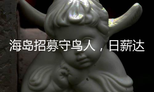 海岛招募守鸟人，日薪达三百的独特故事