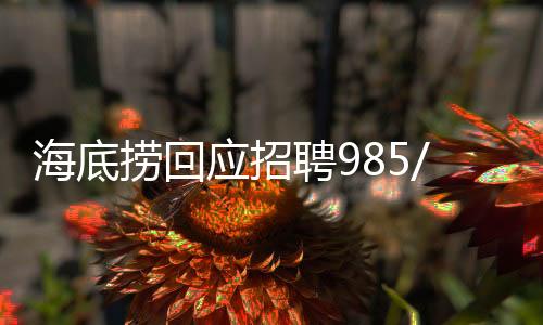 海底捞回应招聘985/211学历外送员事件深度解析