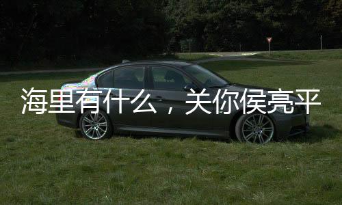 海里有什么，关你侯亮平屁事！