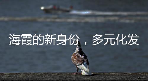 海霞的新身份，多元化发展的典范