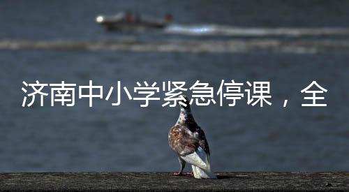 济南中小学紧急停课，全市师生的安全与未来教育的新思考（一）