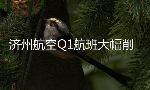 济州航空Q1航班大幅削减近1900架次，未来展望待观察