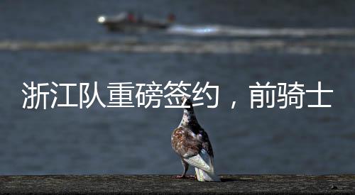 浙江队重磅签约，前骑士球员RJ-内姆哈德加盟