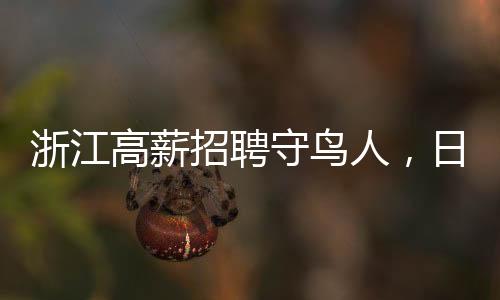 浙江高薪招聘守鸟人，日薪高达300元，需在海岛居住四个月