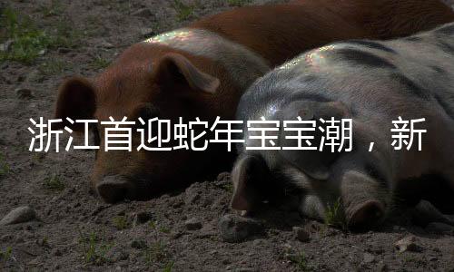 浙江首迎蛇年宝宝潮，新生代的独特魅力与期待