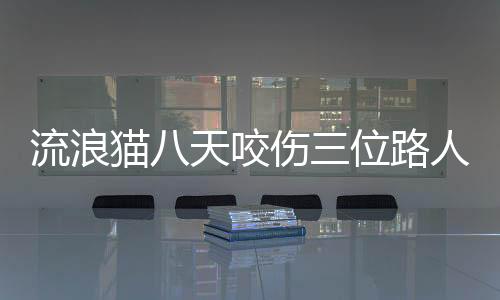 流浪猫八天咬伤三位路人，引发社会关注
