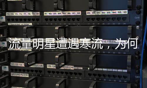 流量明星遭遇寒流，为何在春节档遭遇败北？
