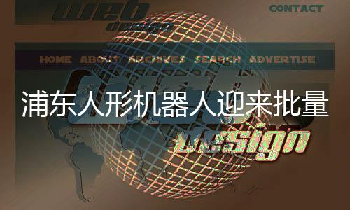 浦东人形机器人迎来批量生产阶段，开启智能新时代新篇章