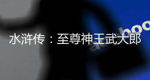 水浒传：至尊神王武大郎