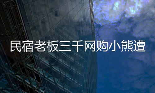 民宿老板三千网购小熊遭索赔3.8万事件揭秘