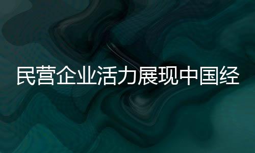 民营企业活力展现中国经济潜力，独特视角洞悉企业增长之源