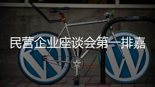 民营企业座谈会第一排嘉宾揭晓，汇聚精英共话企业发展新篇章