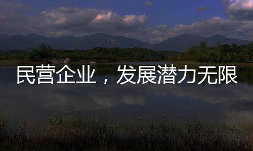 民营企业，发展潜力无限，前景广阔光明