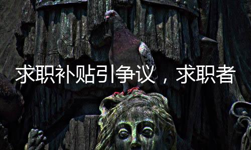 求职补贴引争议，求职者询问遭遇意外回应