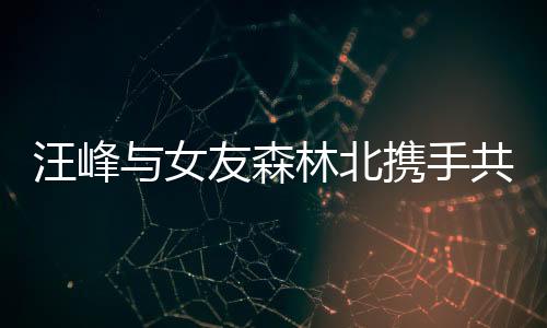 汪峰与女友森林北携手共创公司新篇章