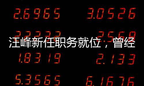 汪峰新任职务就位，曾经审理湄公河惨案主犯