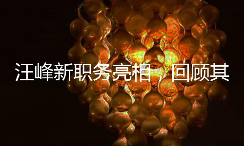 汪峰新职务亮相，回顾其审理湄公河惨案主犯经历