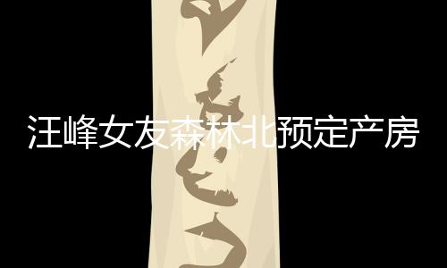 汪峰女友森林北预定产房，将开启人生新篇章
