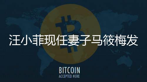 汪小菲现任妻子马筱梅发声，打破沉默背后的迷雾