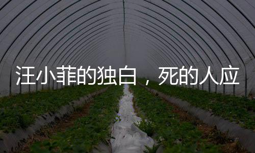 汪小菲的独白，死的人应该是我