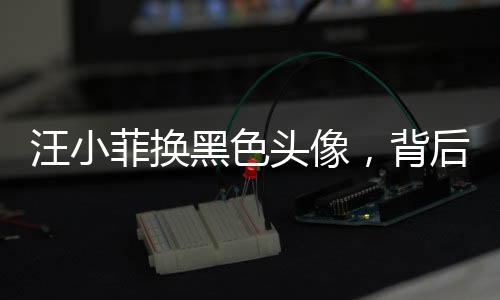 汪小菲换黑色头像，背后有何深意？