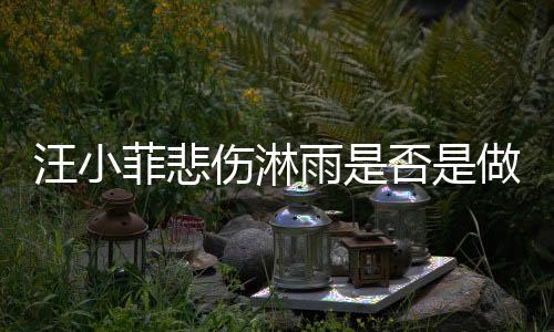 汪小菲悲伤淋雨是否是做戏？三方抨击引发争议